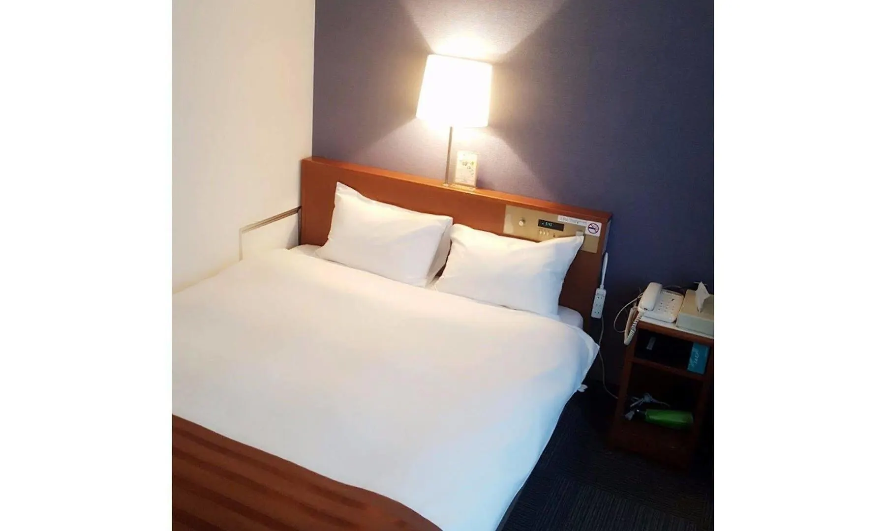 Tokyo Plaza Hotel